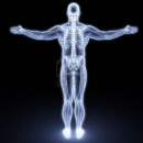 6681450-corps-humain-par-rayons-x-rendu-3d