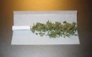 joint